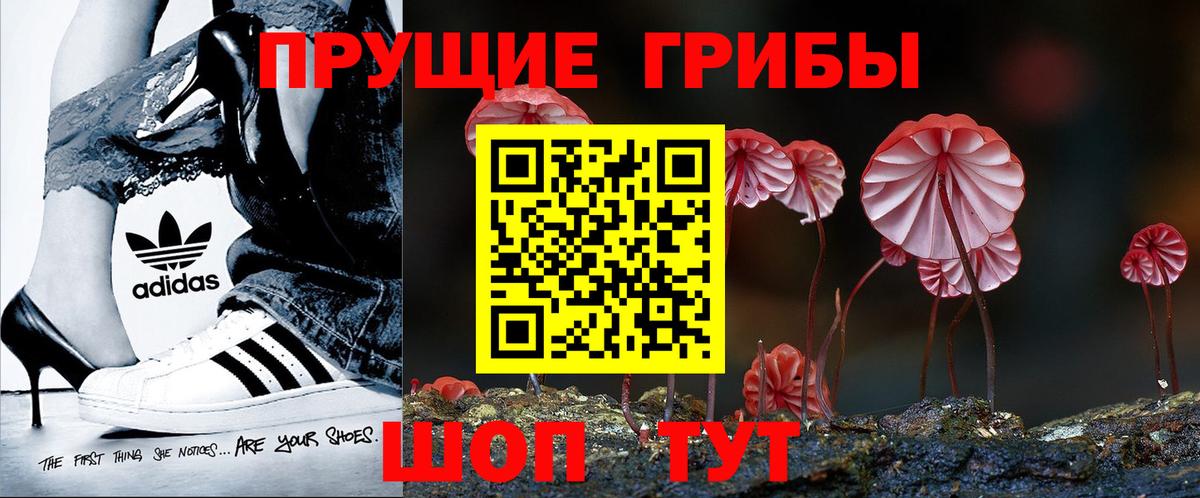 Галлюциногенные грибы Magic Shrooms  Галлюциногенные грибы мицелий  Красноуфимск  Вход с VPN 